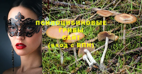 a pvp Новодвинск