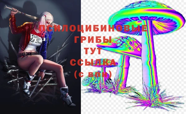 a pvp Новодвинск
