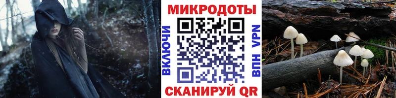 Галлюциногенные грибы мицелий Рассказово
